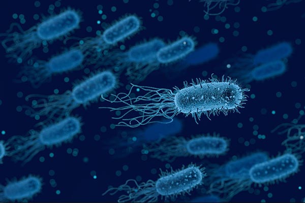 En 2050, resistencia bacteriana será primera causa de muerte