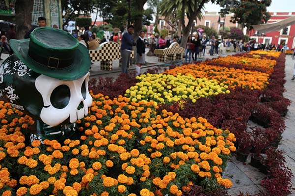 Inauguran en Atlixco tapete monumental con 40,000 flores