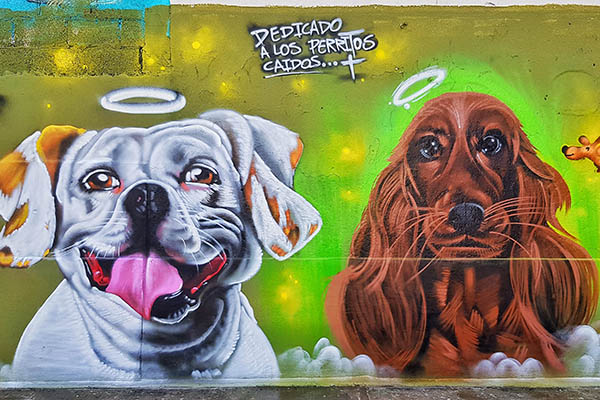Con mural recuerdan a perritos caídos de Bosques de San Sebastián
