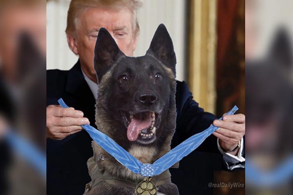 Trump entrega medalla “photoshopeada” a perro del Ejército y desata polémica