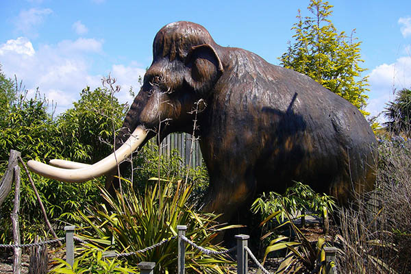 Hallan en México la primera trampa de mamut en el mundo