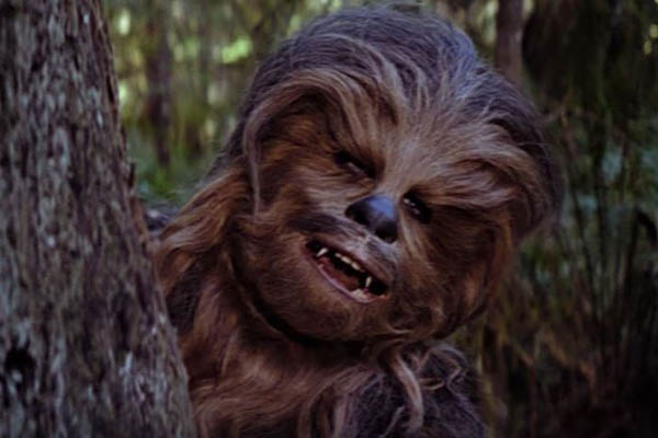 La tierna reacción de un bebé al conocer a Chewbacca se hace viral