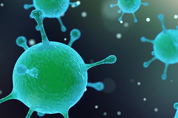 Virus de viruela bovina podría ser alternativa contra el cáncer