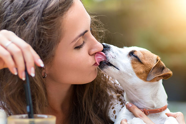 Besar a mascotas podría afectar hígado y pulmones