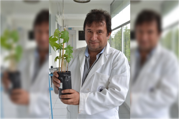 Investigadores de la BUAP desarrollan compuesto descontaminante