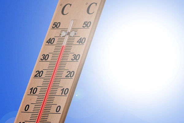 Cierra 2019 década de niveles récord de temperaturas: OMM