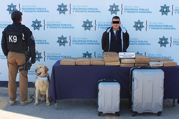 Lo atraparon en la CAPU con 60 kilos de marihuana