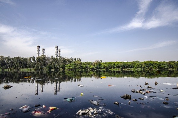 Los seis depredadores del medioambiente en la última década