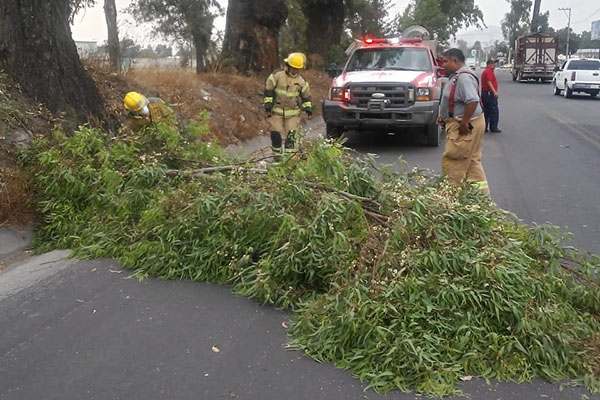 Gobierno de Texmelucan, atento ante fuertes vientos