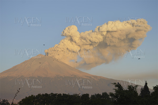 Popocatépetl emite 268 exhalaciones en últimas 24 horas