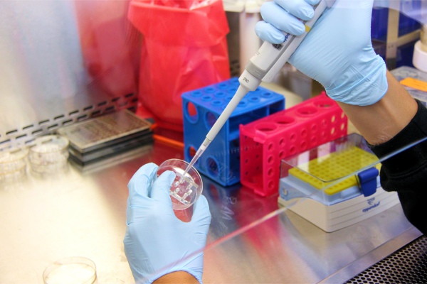 México no cuenta con ningún especialista en coronavirus