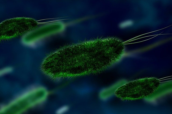 Una persona muere cada tres segundos por esta enfermedad que mata más que el cáncer