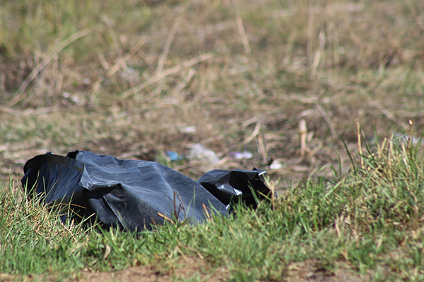 Eran de perro los restos hallados en Bosques de Chapultepec
