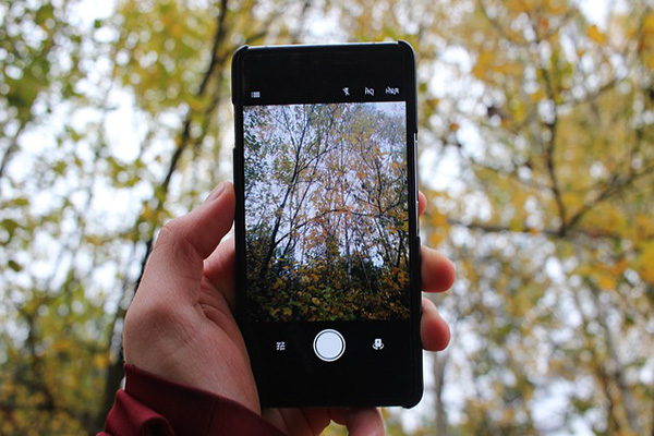 Un error de Android borra fotografías de los móviles sin autorización del usuario