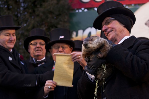¿Qué es y por qué se celebra el Día de la Marmota?