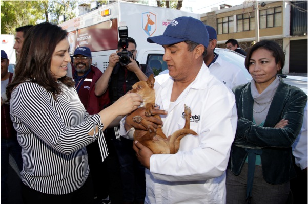 Claudia Rivera entrega vehículos para el Departamento de Protección Animal