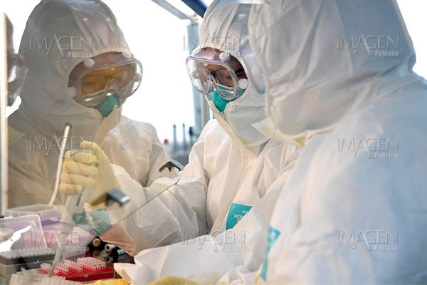 China comparte secuencias genómicas de cinco cepas del coronavirus