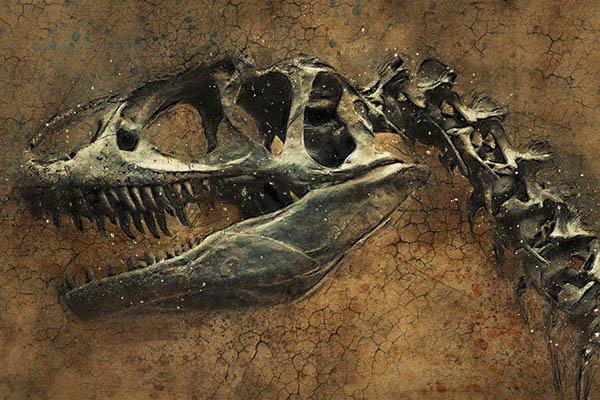 Científicos descubren una nueva especie de dinosaurio carnívoro