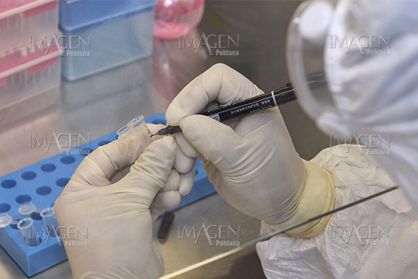 Aumenta a 1,596 el número de muertos por coronavirus en Hubei