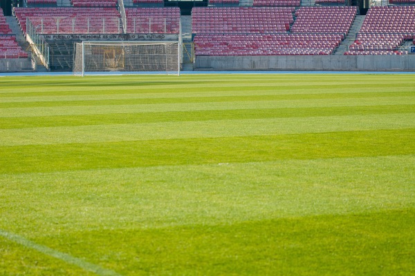 Partidos de la Liga MX se jugarán a puerta cerrada