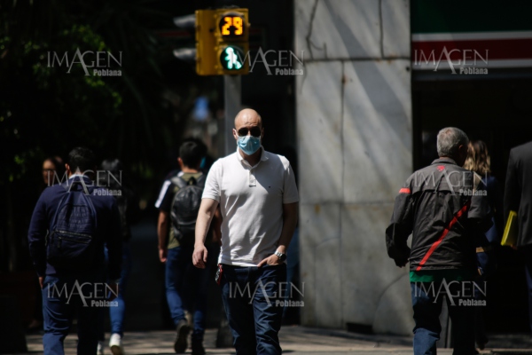 AMLO y gabinete trazan ruta de trabajo ante el COVID-19