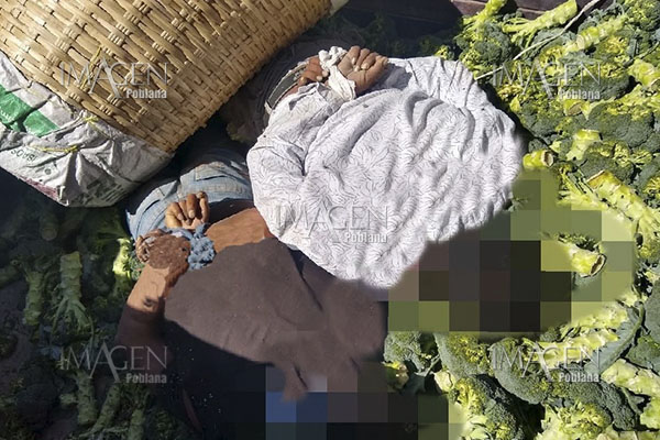 Localizan dos cuerpos maniatados y con el tiro de gracia
