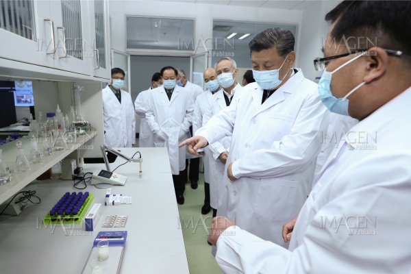 Continúa la carrera farmacéutica mundial por la cura del COVID-19