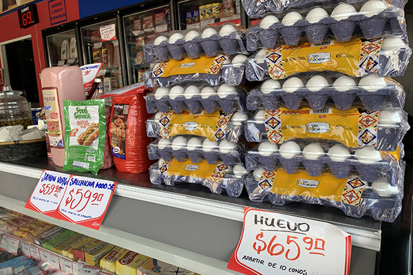Pese a anuncio de multas, productos de la canasta básica van a la alza