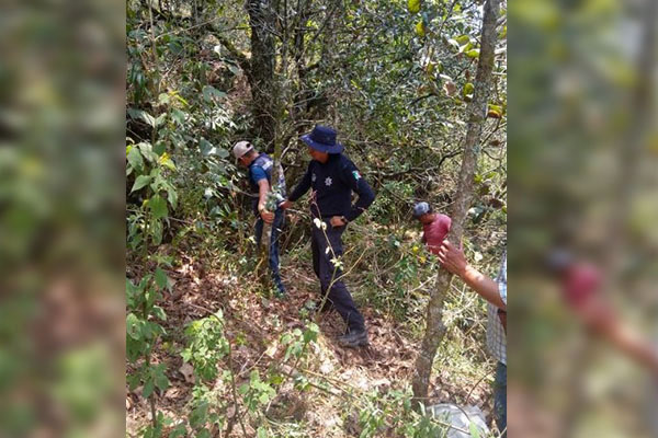 Trabaja Comisión de Búsqueda en localización de Natalia Rosales Martínez