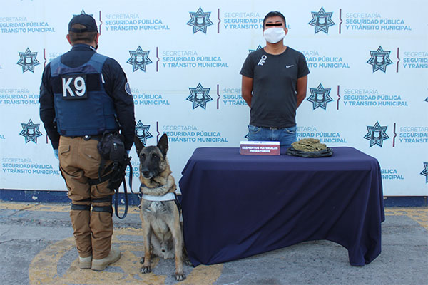 Perro policía descubrió que sujeto llevaba medio kilo de marihuana