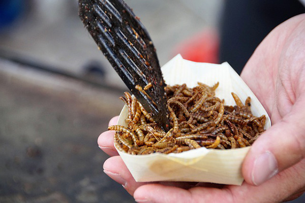 La gastronomía mundial y sus platillos extraños