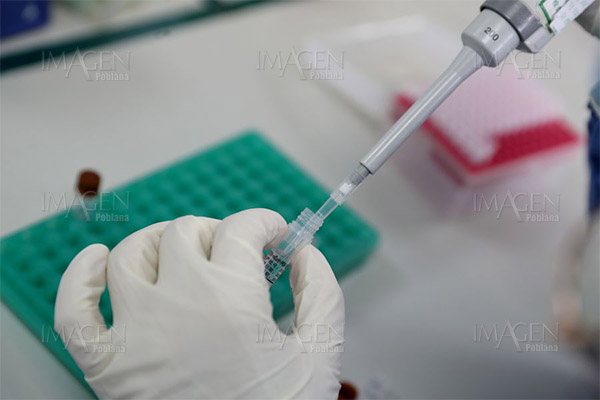 ¿Se puede contraer el coronavirus dos veces?