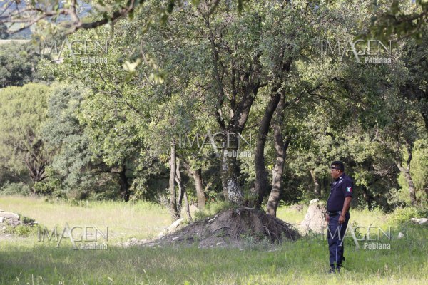Joven se cuelga de un árbol por decepción amorosa