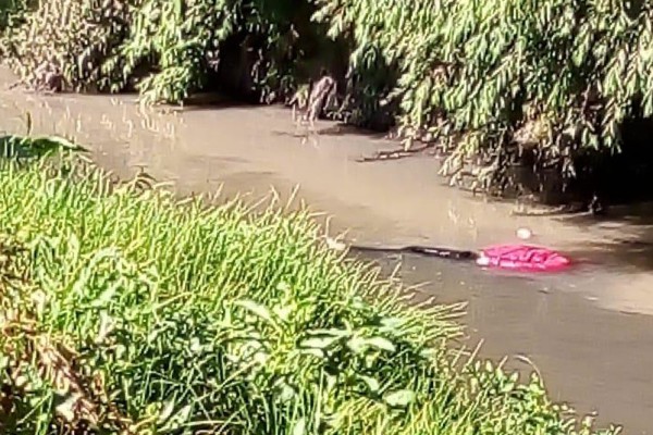 Sujeto en Texmelucan huía, se arrojó a un barranco y pereció: SSP