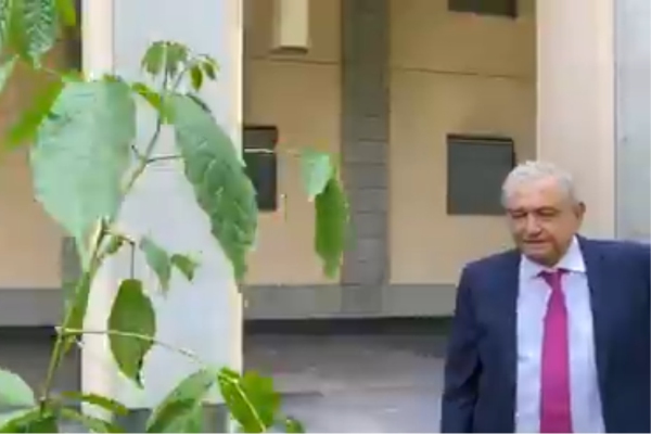 Planta López Obrador árboles en jardín de Palacio Nacional