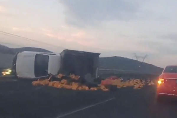 Camioneta vuelca y deja el asfalto regado con pollos