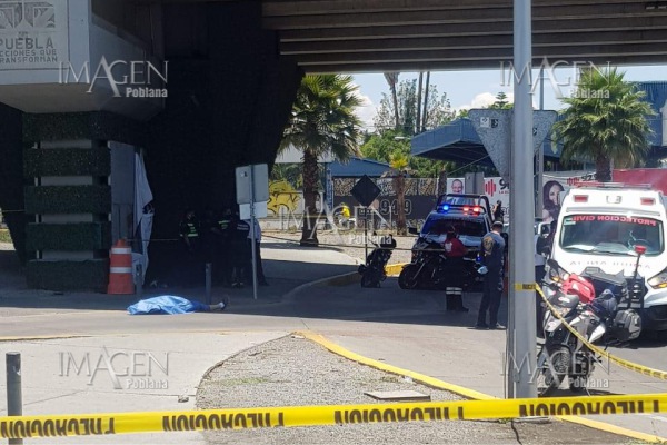 Muere joven tras estrepitosa caída desde un puente