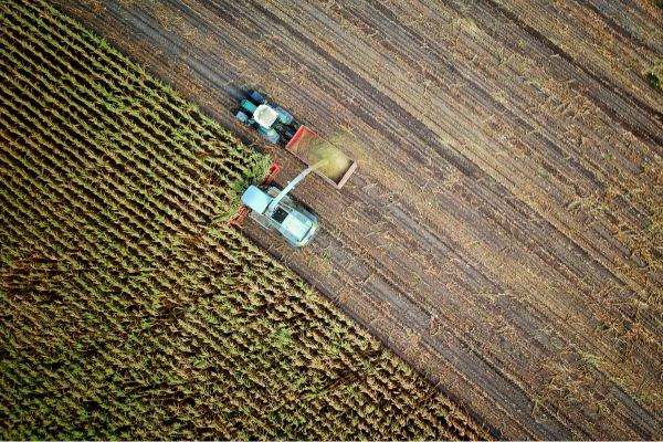 Agricultores mexicanos ven detenidas sus exportaciones y sueñan con reapertura