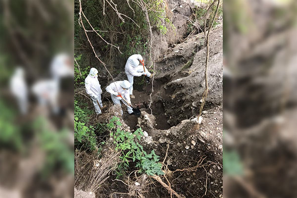 Hallan cadáver putrefacto en fosa clandestina