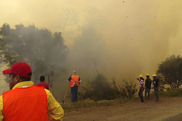 México ve amenazadas 8,700 hectáreas por 73 incendios forestales