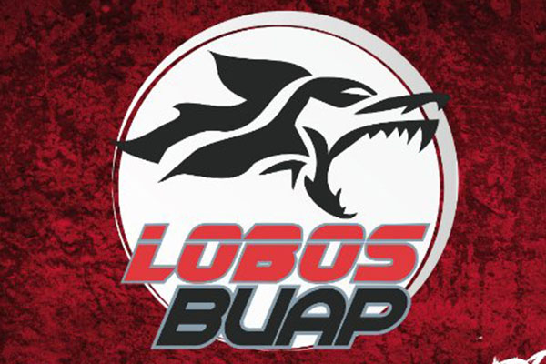 A un año de la venta de Lobos BUAP el juicio sigue, pero su regreso es inminente