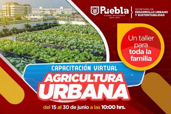 Gobierno de la Ciudad impulsa autosuficiencia alimentaria en la capital