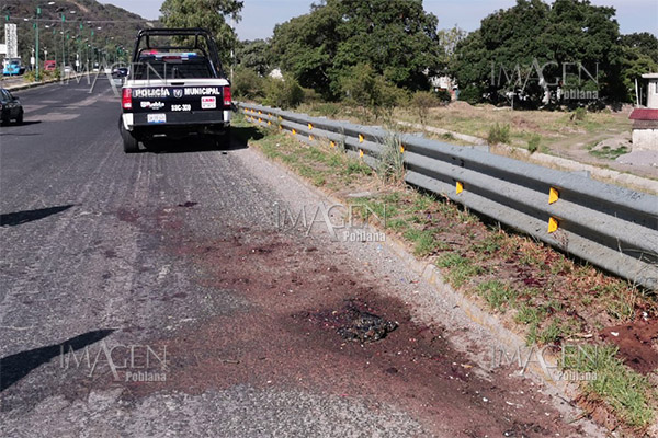 Bolsas con vísceras alarman a automovilistas