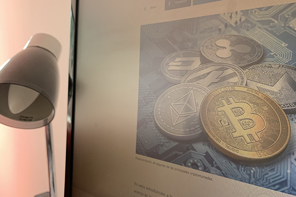 Estafas en criptomonedas que incluyen en la dirección el nombre de Elon Musk