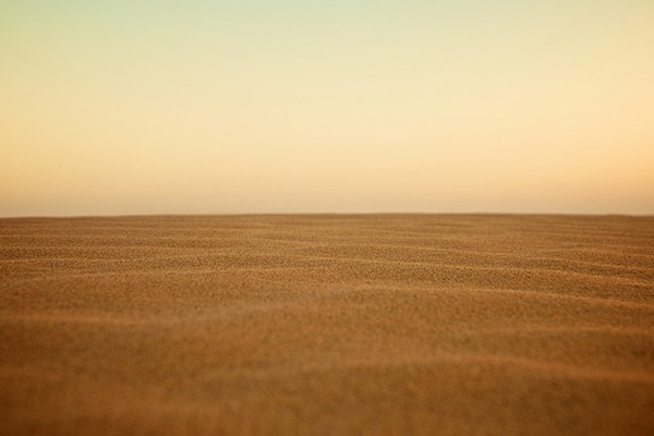 Polvo del Sahara en América: el secreto de cómo el desierto fertiliza a la selva
