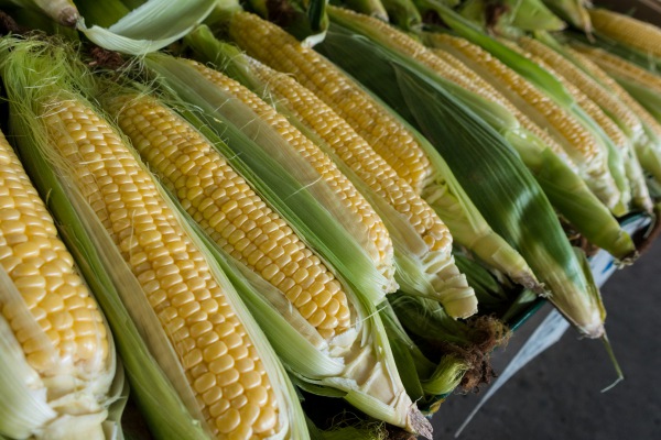 México, de la fortaleza agroindustrial a una inminente crisis alimentaria