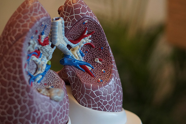 Cómo ayudar a los pulmones a recuperarse tras el coronavirus