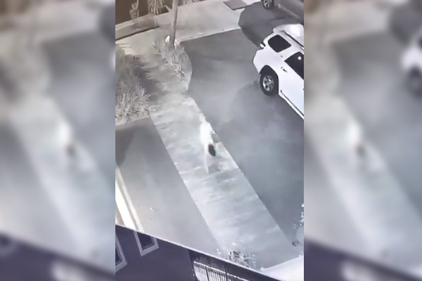 Viralizan video de la llamada “niña perro”, leyenda urbana de Tampico