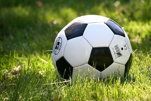 Dan a conocer los 16 equipos participantes en la Liga de Expansión