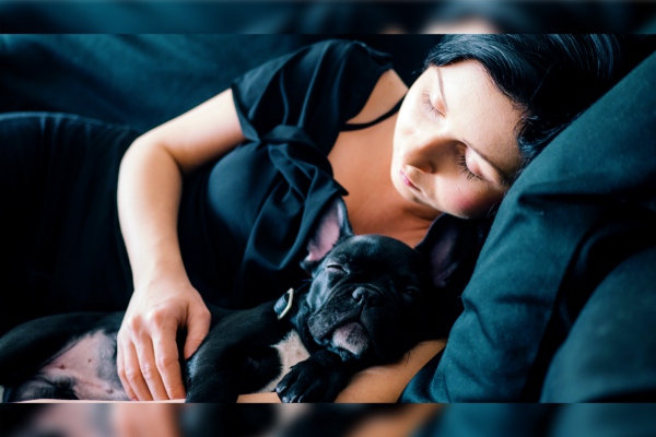 ¿Dormir o no con tu perro? Algunos consejos para un mejor despertar